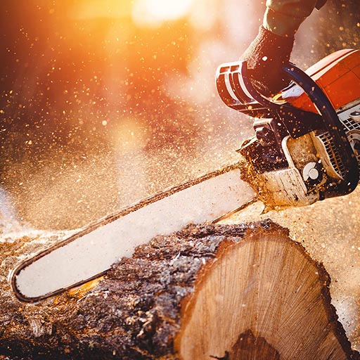 Boomrooierij Struik WebYourDay