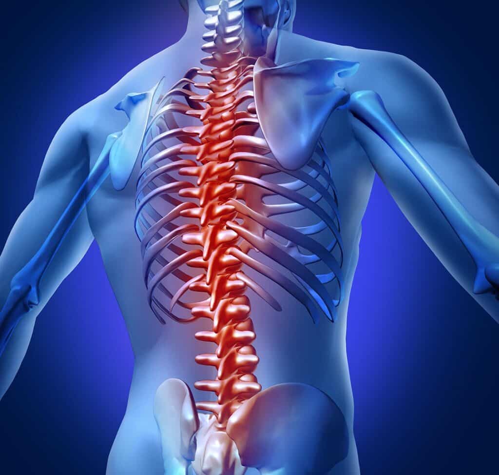 de balans in beweging - WebYourDay